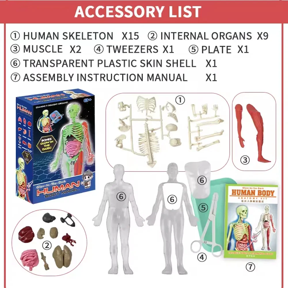 Modèle d'enseignement biologiq - Model Kit Fantasy avis et prix